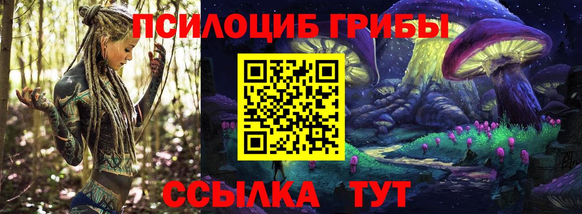Галлюциногенные грибы мицелий  Галлюциногенные грибы мицелий  Борисоглебск  Вход с VPN 
